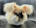 English Angora Waitlist